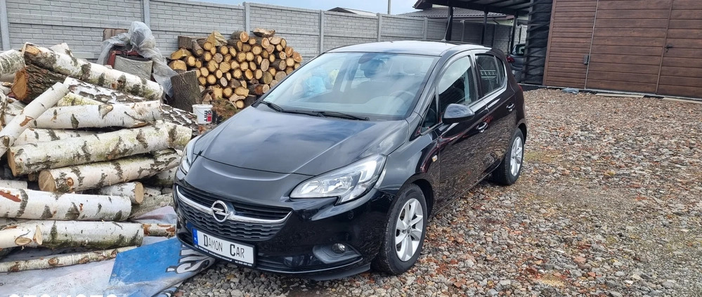 Opel Corsa cena 36900 przebieg: 77000, rok produkcji 2016 z Mikołów małe 352